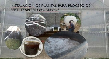 Diversificación Tecnológica