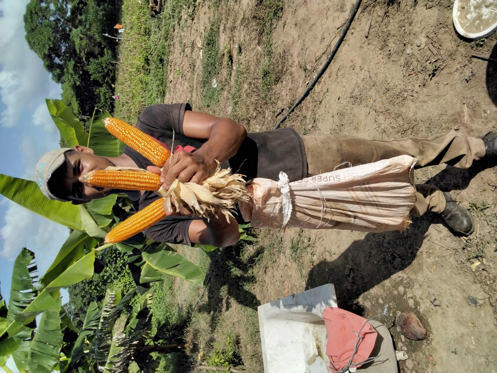 Equipo TechnoAgroCorn