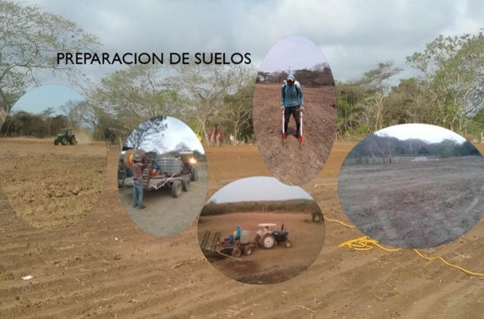 Optimización del Suelo